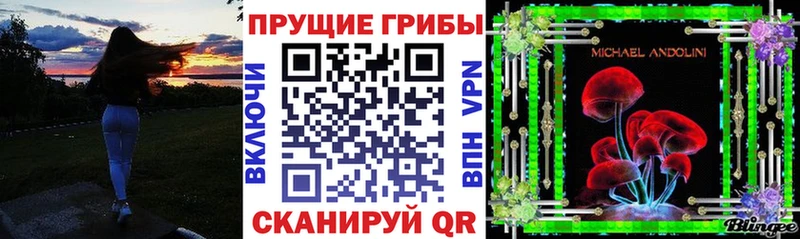 Псилоцибиновые грибы Cubensis  Купить  Пугачёв 